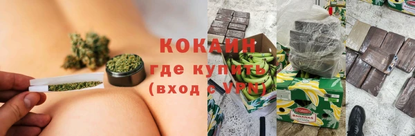 индика Переславль-Залесский