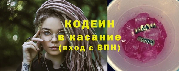 индика Переславль-Залесский