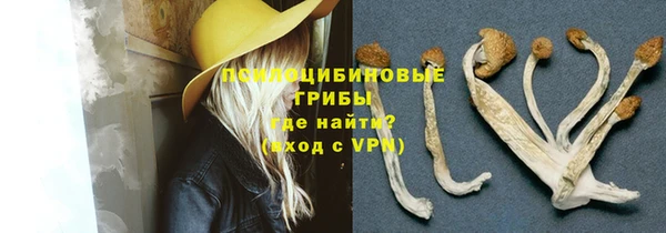 индика Переславль-Залесский