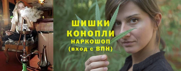 мяу мяу мука Пестово
