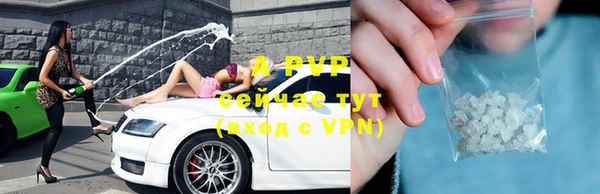 индика Переславль-Залесский