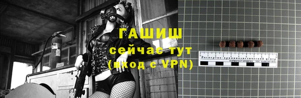 молекула духа Пересвет