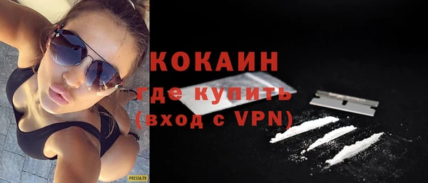молекула духа Пересвет