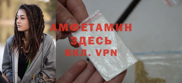 индика Переславль-Залесский