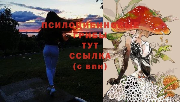 молекула духа Пересвет