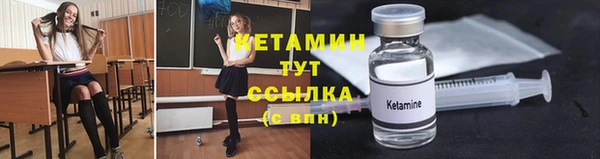 индика Переславль-Залесский