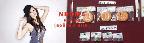 молекула духа Пересвет