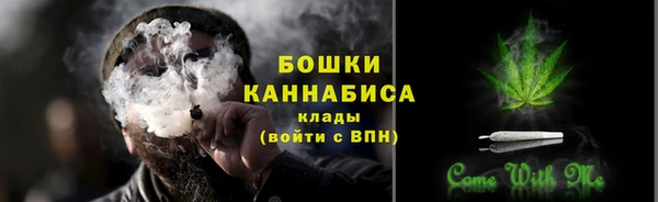 молекула духа Пересвет