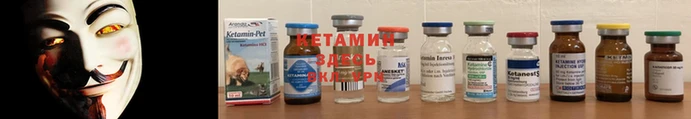 мяу мяу мука Пестово