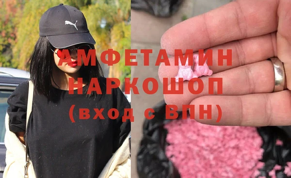 молекула духа Пересвет