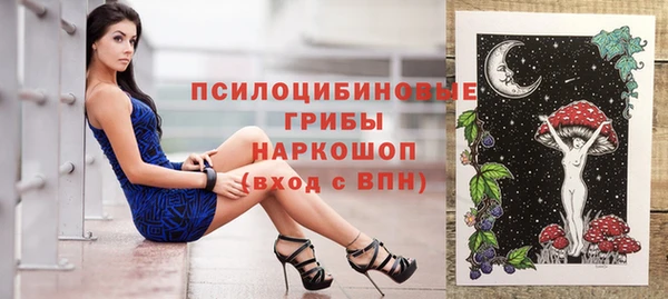 молекула духа Пересвет