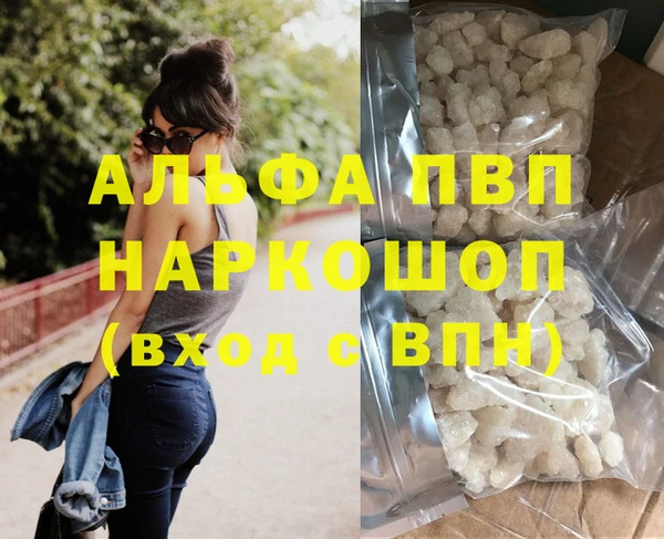 молекула духа Пересвет