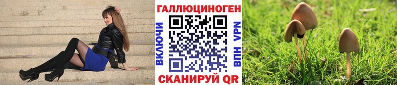Галлюциногенные грибы GOLDEN TEACHER  Коломна 