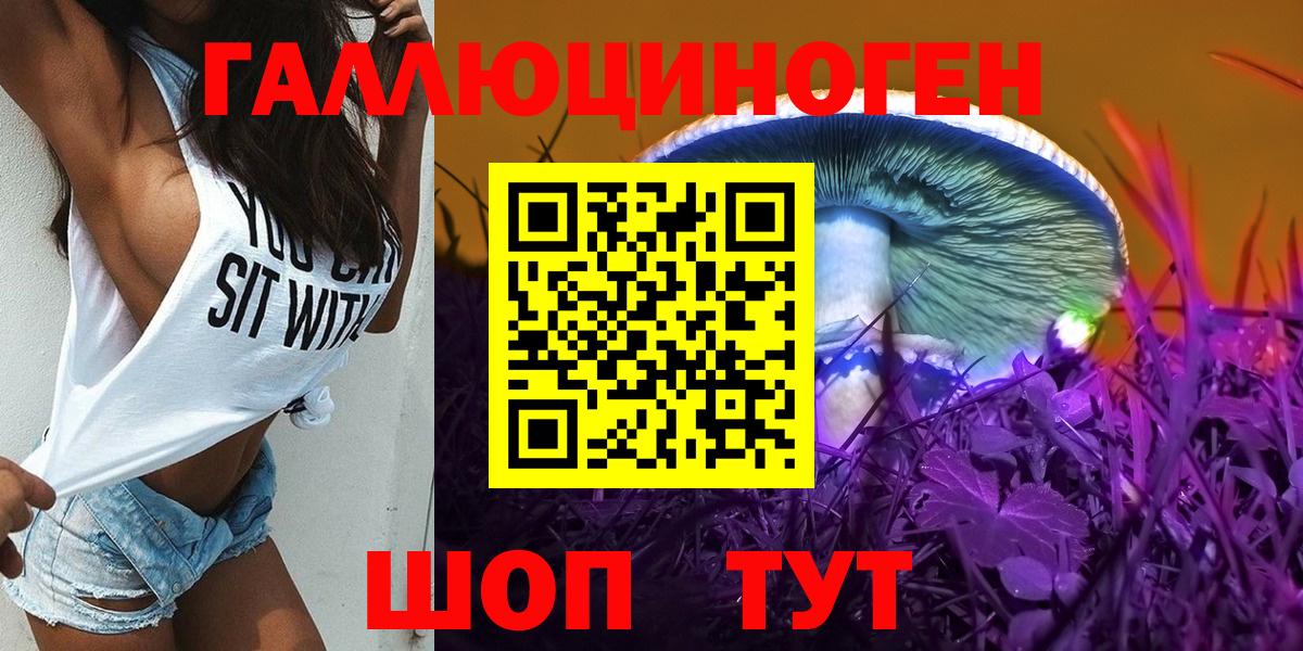 Псилоцибиновые грибы Psilocybine cubensis Коломна