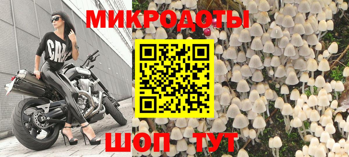 сколько стоит  Псилоцибиновые грибы Psilocybine cubensis  Коломна  Вход с VPN  Галлюциногенные грибы MAGIC MUSHROOMS 